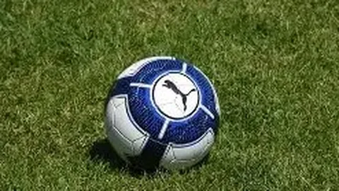 江南体育 产品 090442 puc